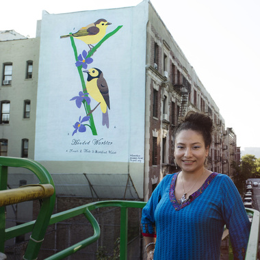 Hooded Warbler by GERALUZ, located at 522 W. 147th Street, New York, NY 10031. Photo: Mike Fernandez/Audubon