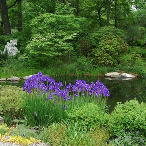 The rich habitat and fresh water of The New York Botanical Garden attracts a great variety of birds year round. <a href="https://www.flickr.com/photos/ugardener/9097915909/" target="_blank">Photo</a>: JR.P./<a href="https://creativecommons.org/licenses/by-nc/2.0/" target="_blank" >CC BY-NC 2.0</a>