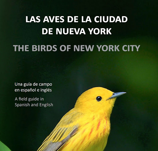 The cover of Las Aves de la Ciudad de Nueva York, first published in 2023. Reinita de Manglar/Yellow Warbler photo: César A. Castillo
