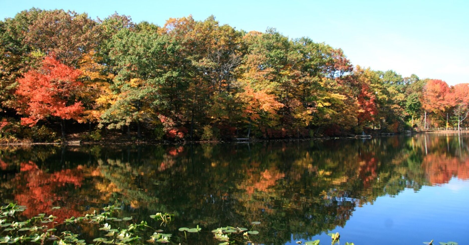 Lake Ohrbach, on the now-preserved William H. Pouch Scout Camp property. Photo: Dorothy Reilly, Greenbelt Conservancy