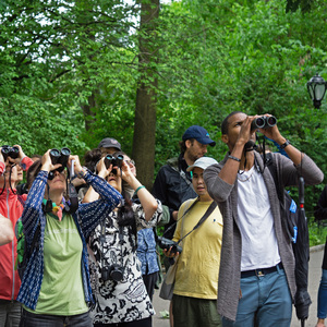 "Let’s Go Birding Together" Tour, Central Park, 2018. Photo: NYC Bird Alliance
