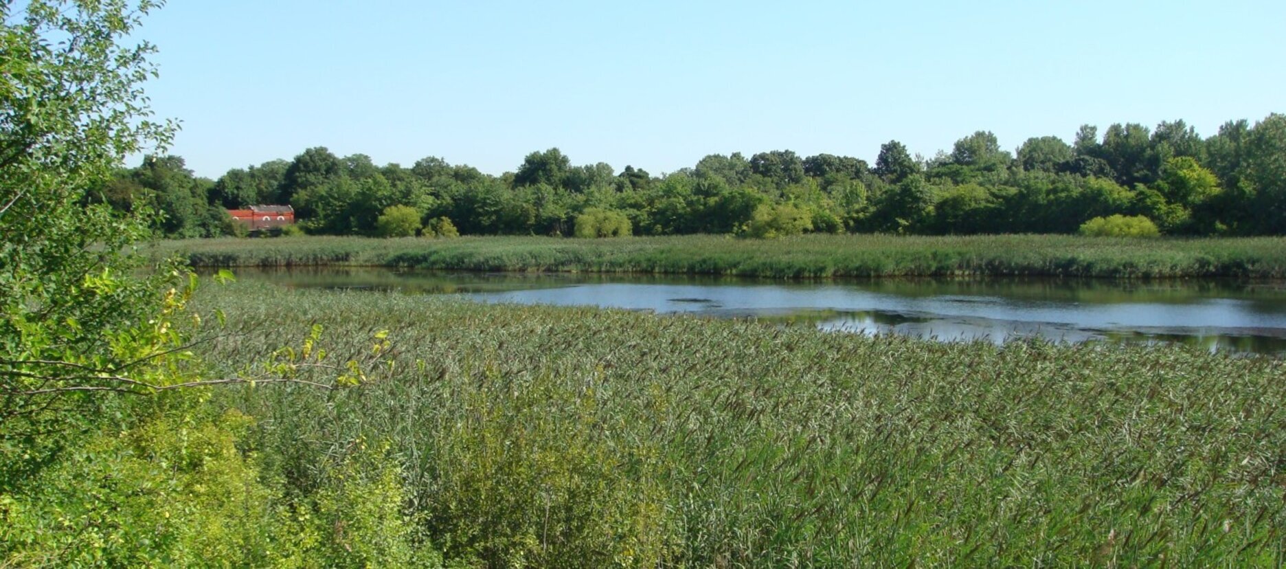 Ridgewood Reservoir. Photo: Glenn Phillips