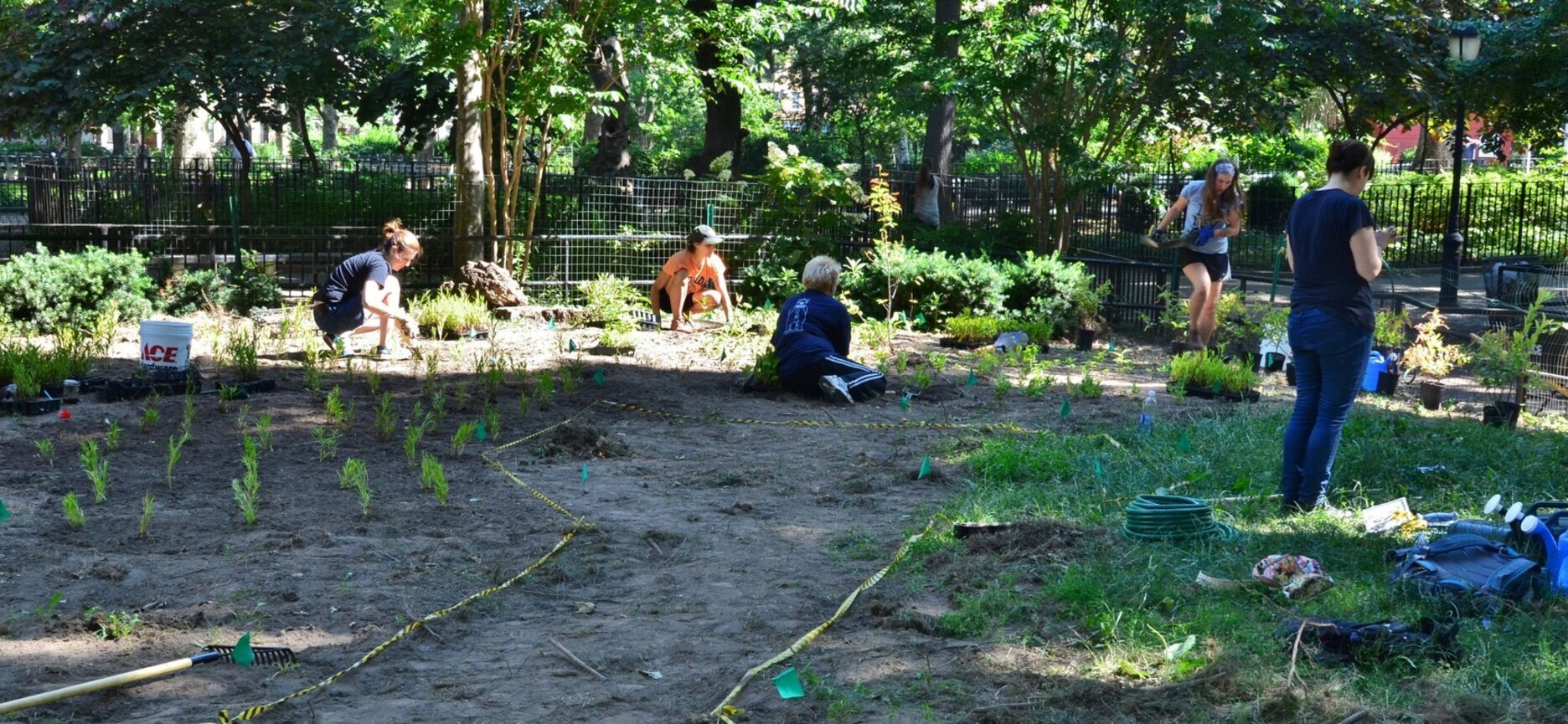 NYC Bird Alliance volunteers and staff lay out a native plant garden in McGolrick Park, Brooklyn. Photo: Chris Kreussling