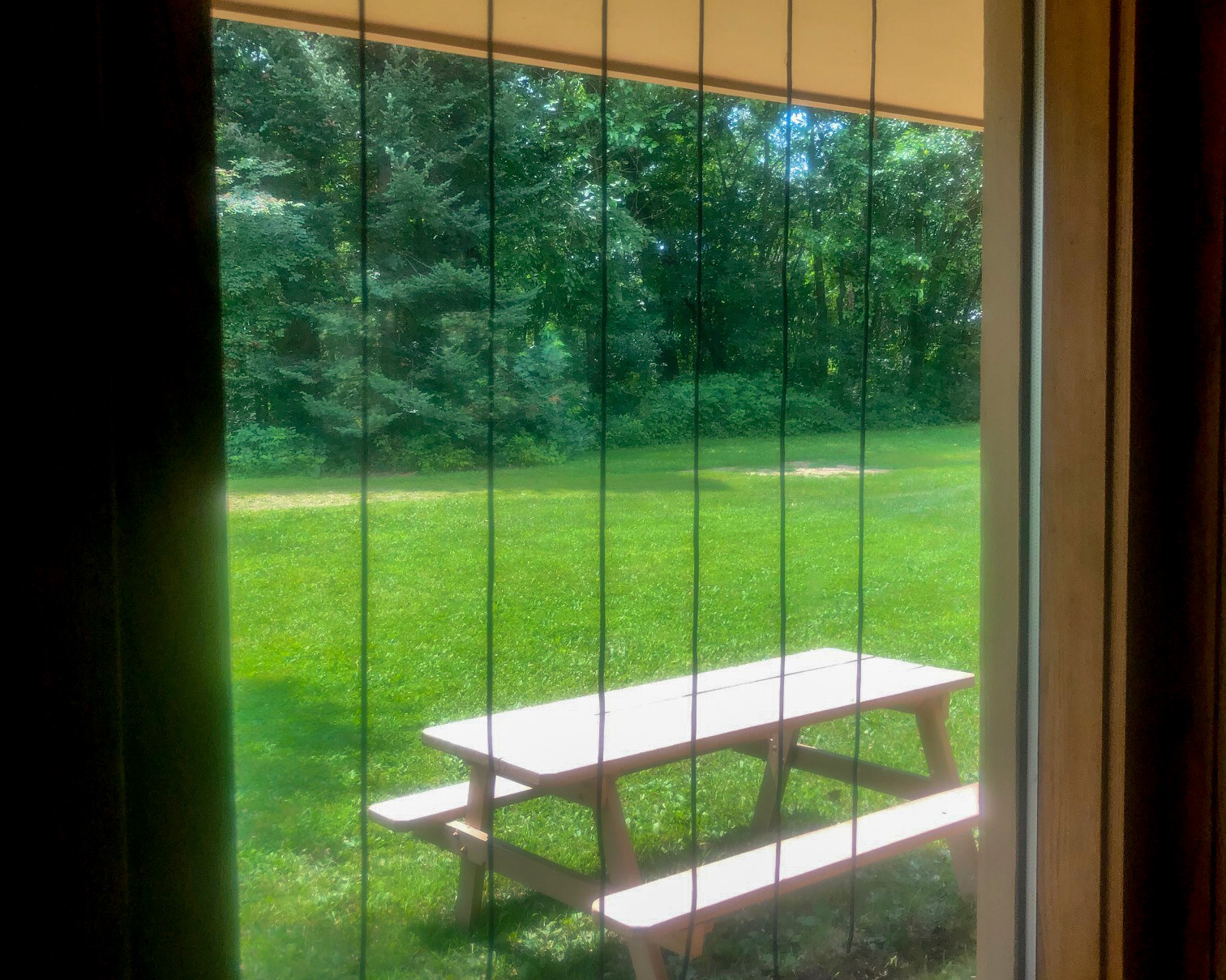 Parachute cord spread four inches apart on window. Photo: Acopian Bird Savers