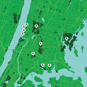 Bronx birding hotspots