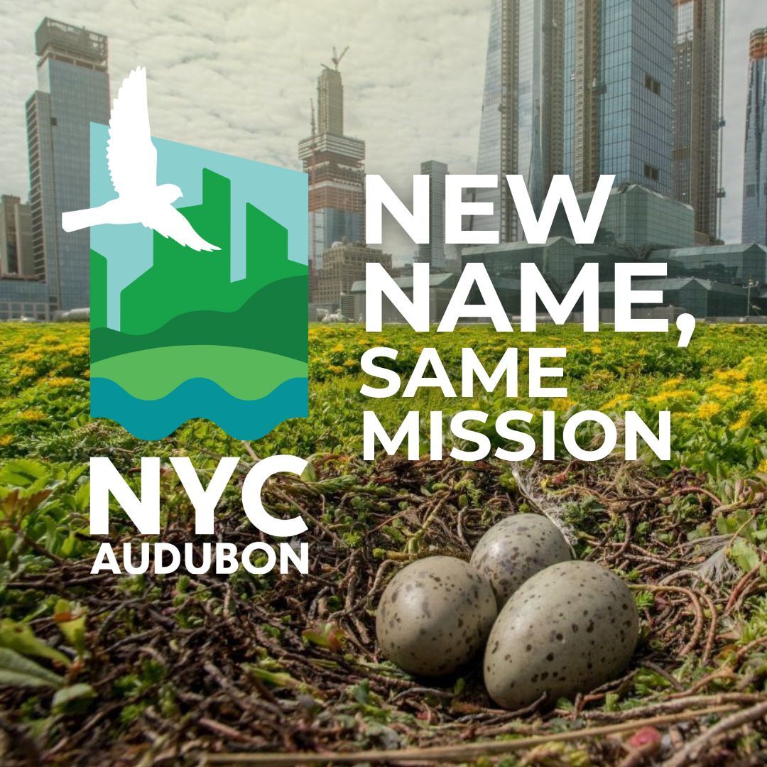 Though we have a new name, our work and mission remain the same.