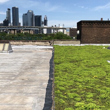 Green infrastructure will help reduce flooding from storms and improve air quality.
