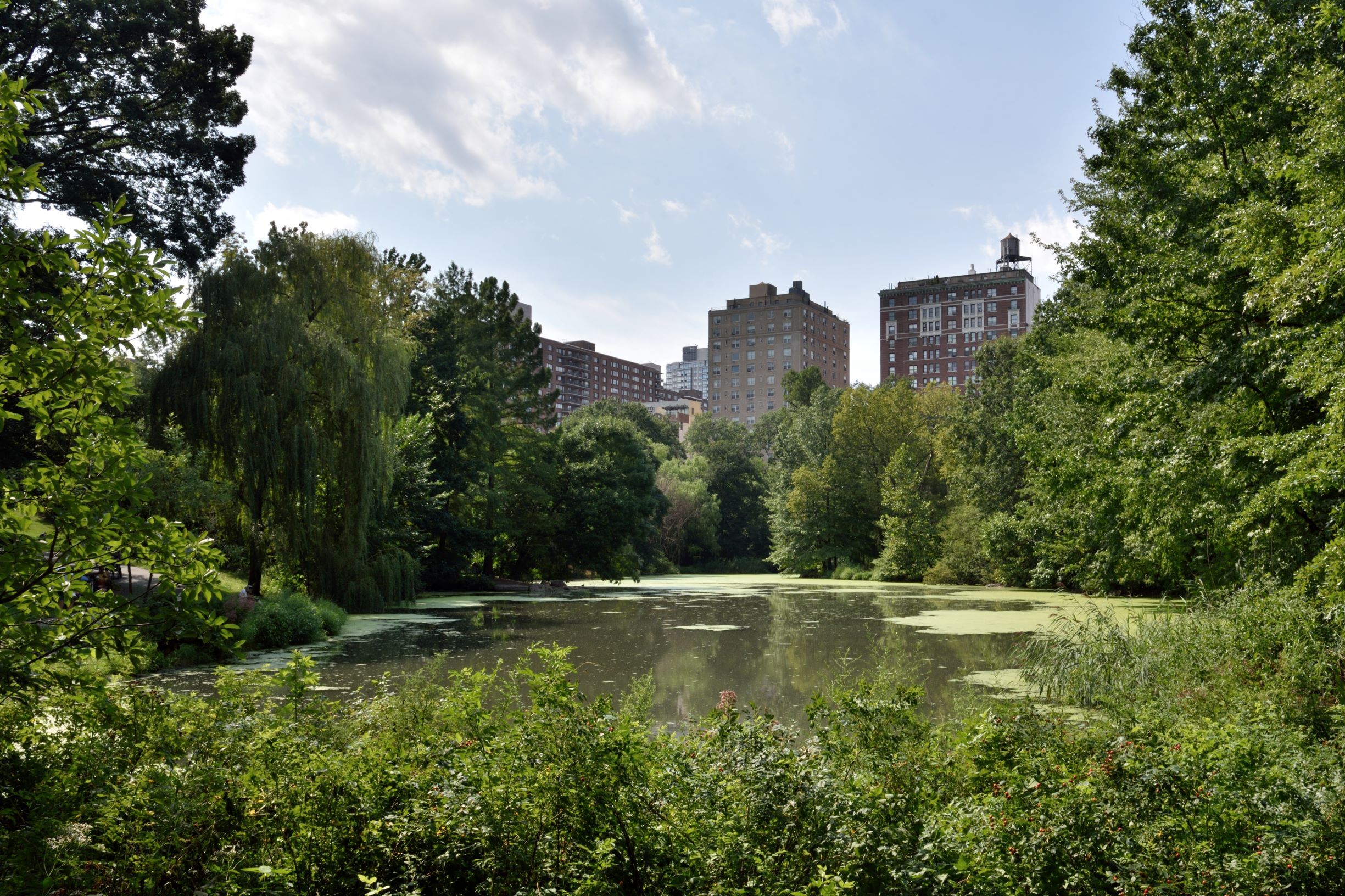 The Pool is a great spot to see waterfowl and migrating songbirds. Photo: <a href="https://www.flickr.com/photos/edcnyc/" target="_blank">Eddie Crimmins</a>