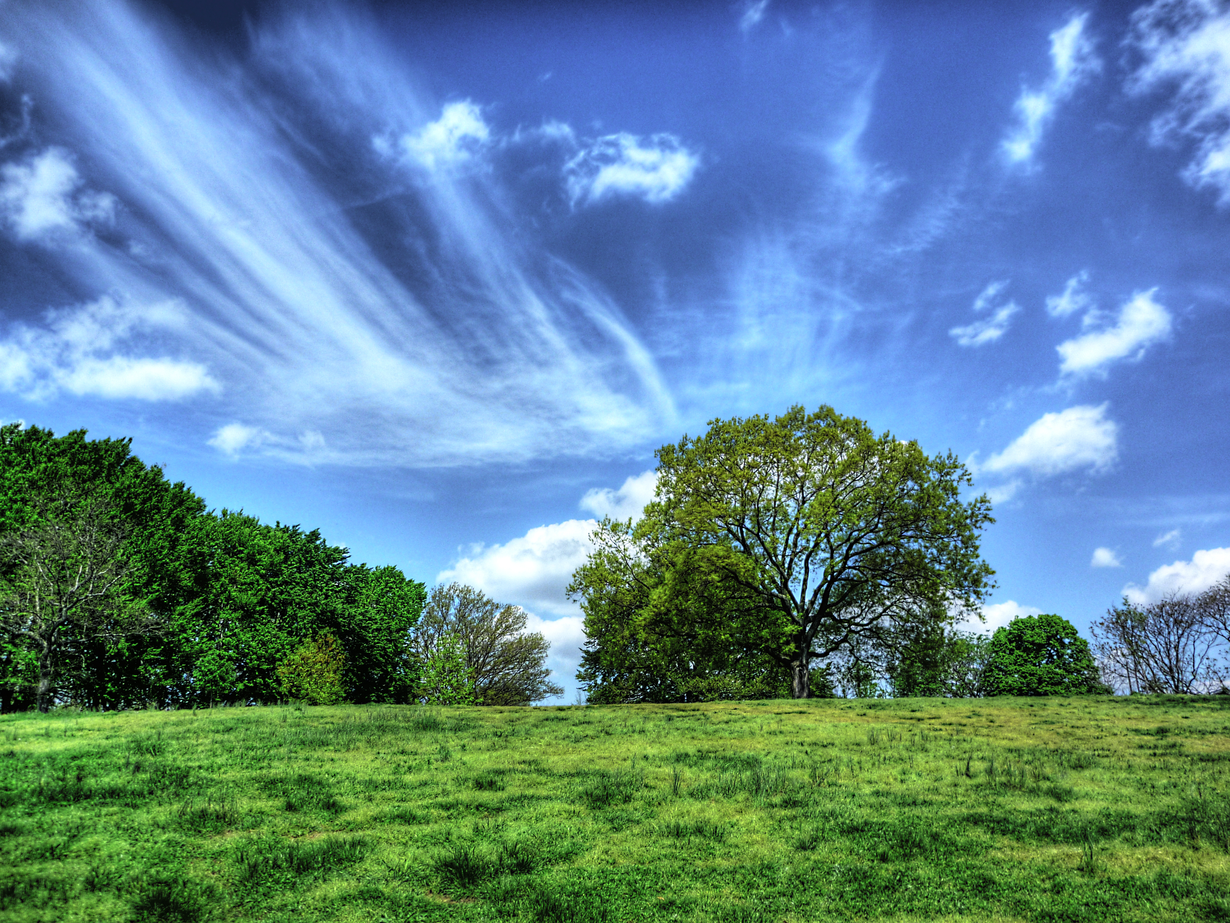 The hilly terrain of Owl’s Head Park. Photo: [mementosis]/CC BY-NC-ND 2.0